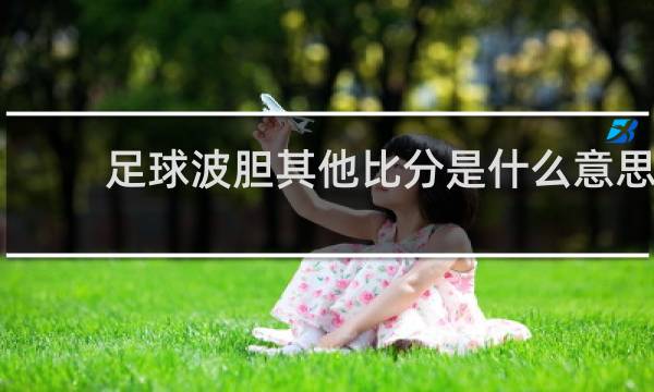 足球波胆其他比分是什么意思
