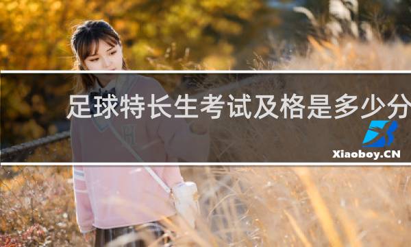 足球特长生考试及格是多少分