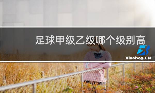 足球甲级乙级哪个级别高