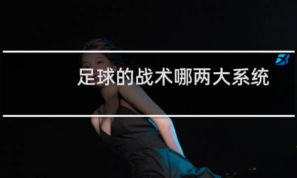 足球的战术哪两大系统
