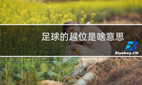 足球的越位是啥意思