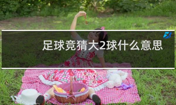 足球竞猜大2球什么意思
