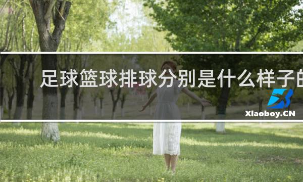 足球篮球排球分别是什么样子的