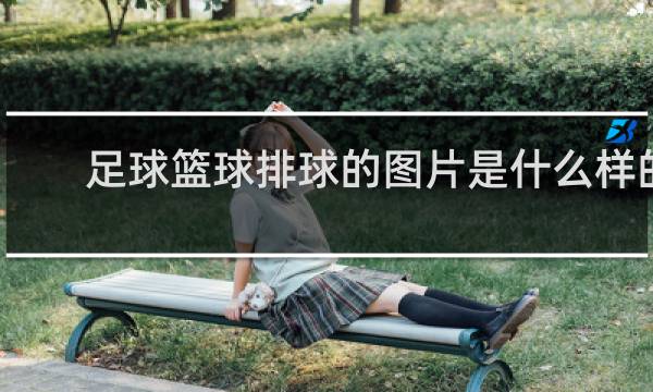 足球篮球排球的图片是什么样的