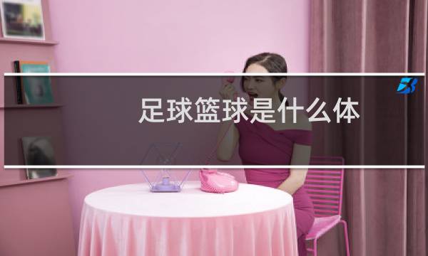 足球篮球是什么体