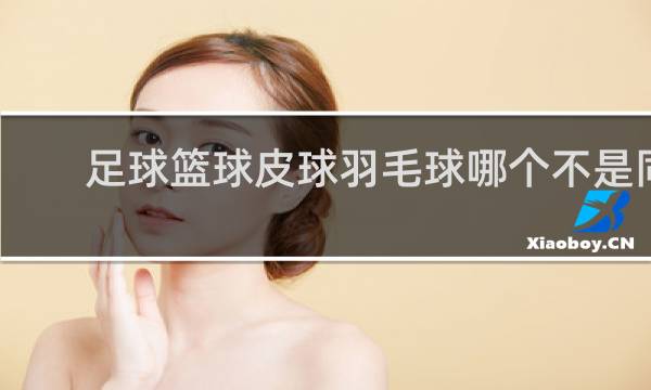 足球篮球皮球羽毛球哪个不是同类