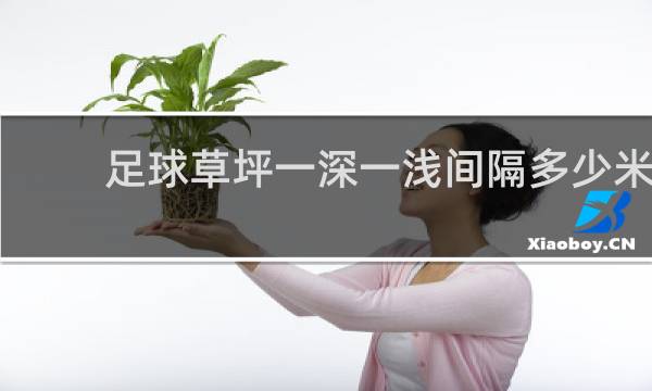 足球草坪一深一浅间隔多少米