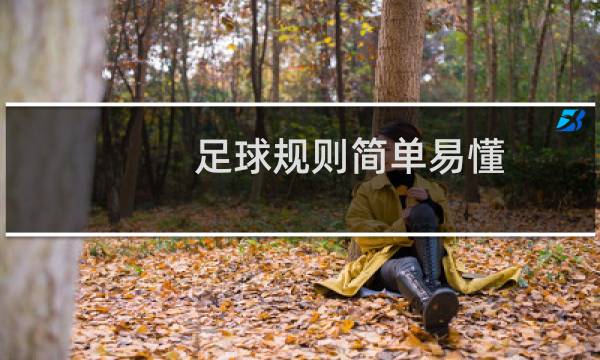 足球规则简单易懂