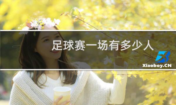 足球赛一场有多少人