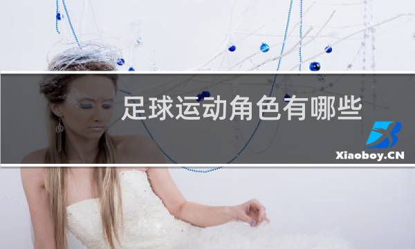 足球运动角色有哪些