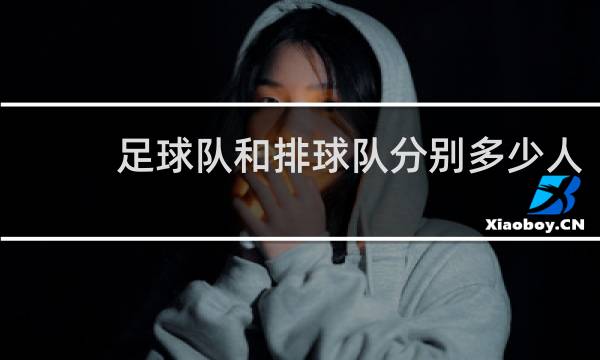 足球队和排球队分别多少人