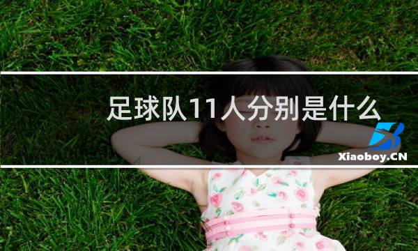足球队11人分别是什么