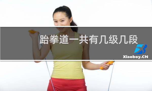 跆拳道一共有几级几段