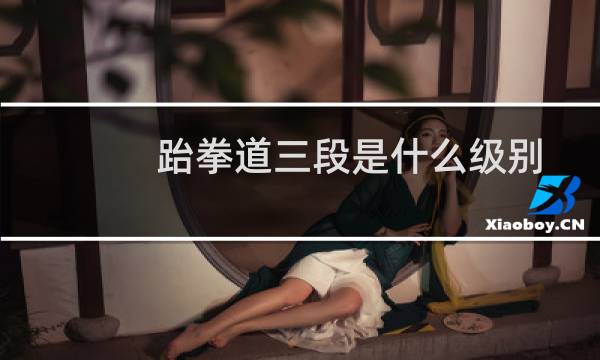 跆拳道三段是什么级别