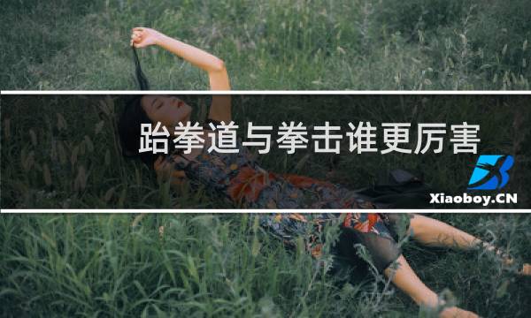跆拳道与拳击谁更厉害