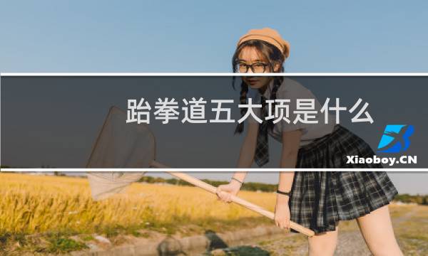 跆拳道五大项是什么
