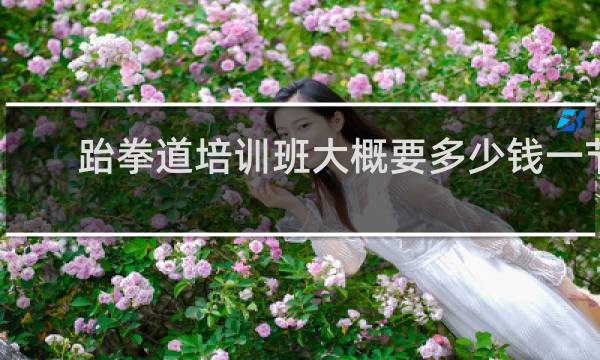跆拳道培训班大概要多少钱一节