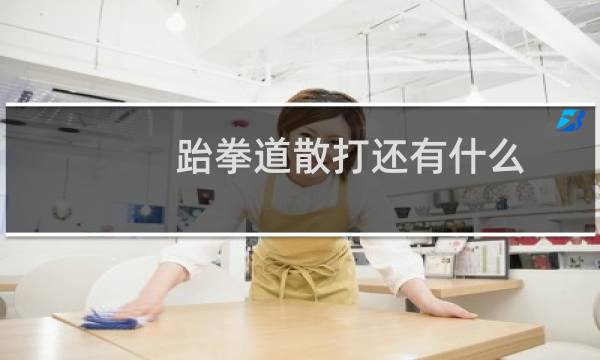 跆拳道散打还有什么