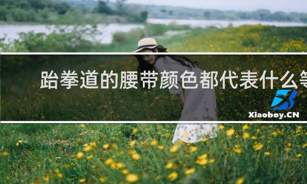 跆拳道的腰带颜色都代表什么等级