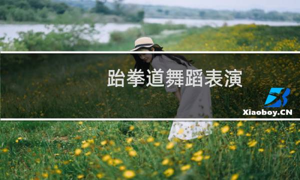 跆拳道舞蹈表演（跆拳道舞）