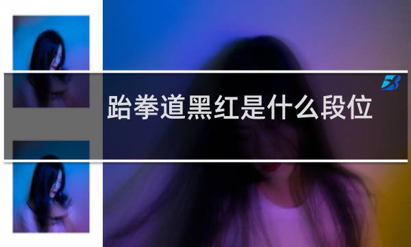 跆拳道黑红是什么段位