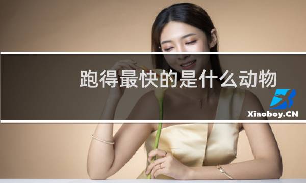 跑得最快的是什么动物