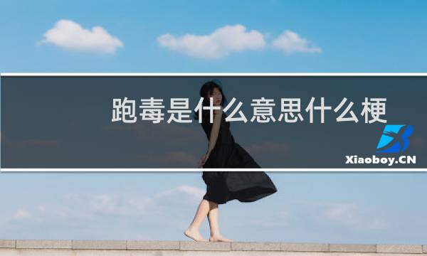 跑毒是什么意思什么梗