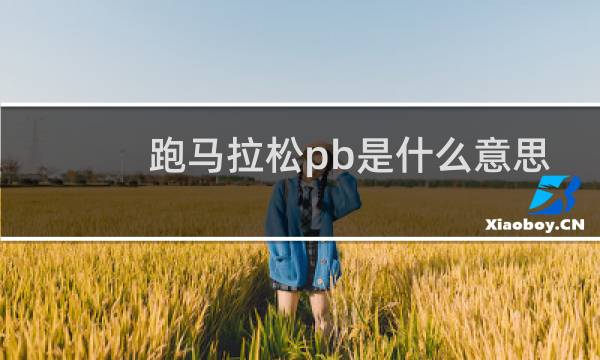 跑马拉松pb是什么意思