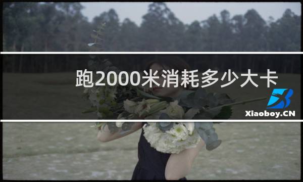 跑2000米消耗多少大卡