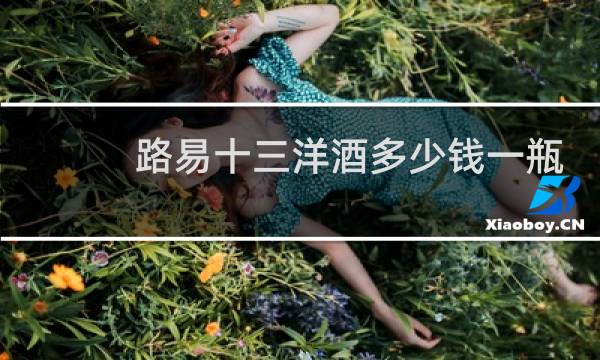 路易十三洋酒多少钱一瓶