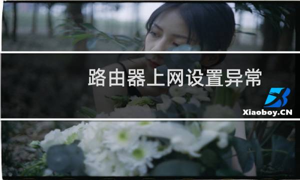 路由器上网设置异常（路由器上网设置）图片