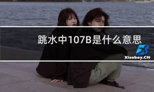 跳水中107B是什么意思