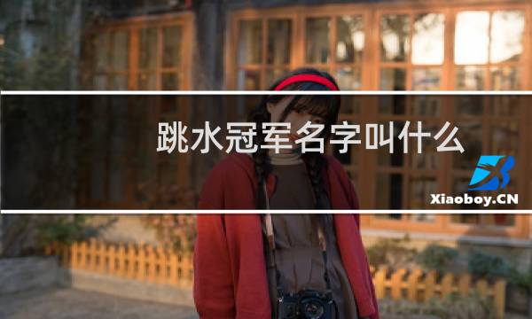 跳水冠军名字叫什么