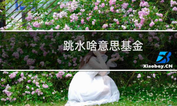 跳水啥意思基金