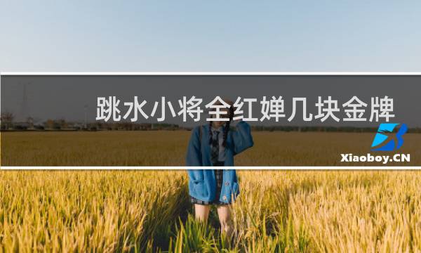 跳水小将全红婵几块金牌
