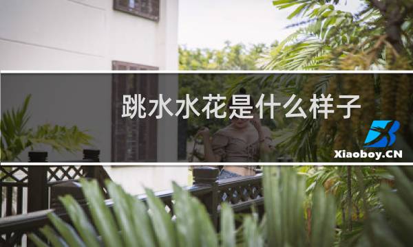 跳水水花是什么样子