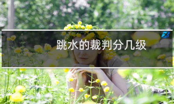 跳水的裁判分几级
