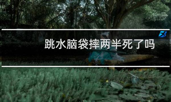跳水脑袋摔两半死了吗