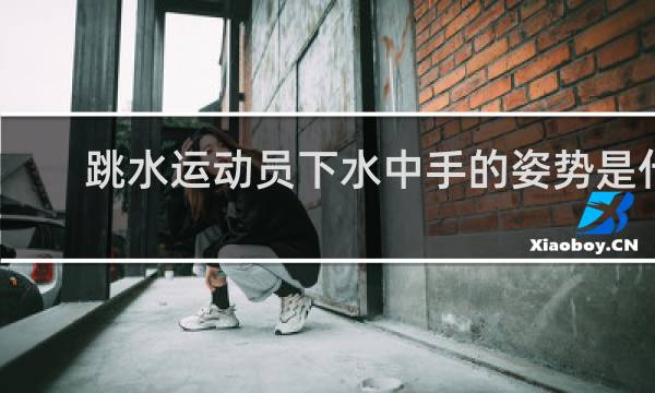 跳水运动员下水中手的姿势是什么样子