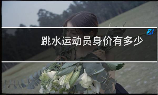 跳水运动员身价有多少