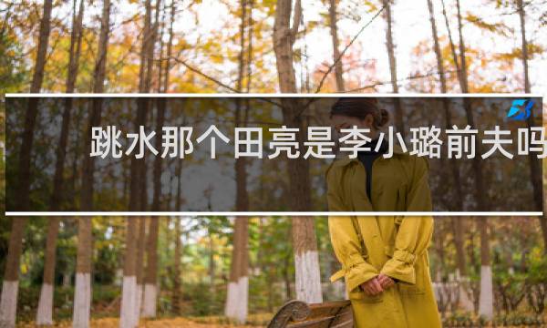 跳水那个田亮是李小璐前夫吗