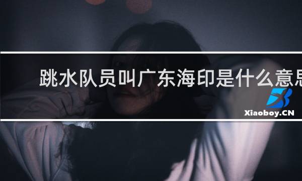 跳水队员叫广东海印是什么意思
