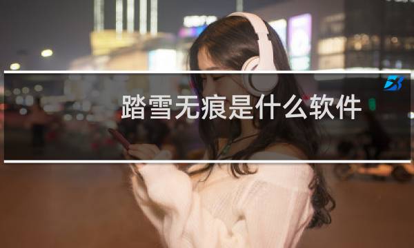 踏雪无痕是什么软件