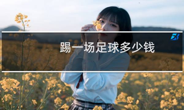 踢一场足球多少钱