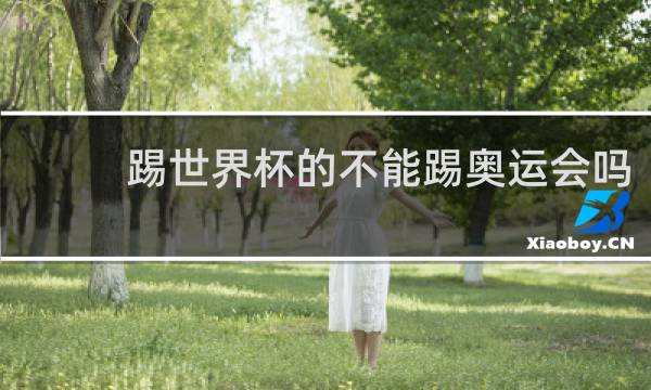 踢世界杯的不能踢奥运会吗