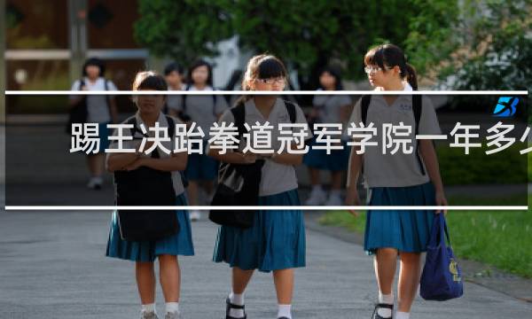 踢王决跆拳道冠军学院一年多少钱