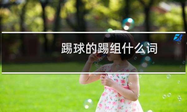 踢球的踢组什么词