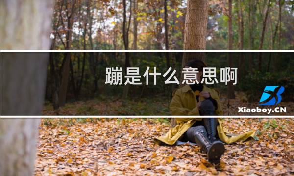 蹦是什么意思啊
