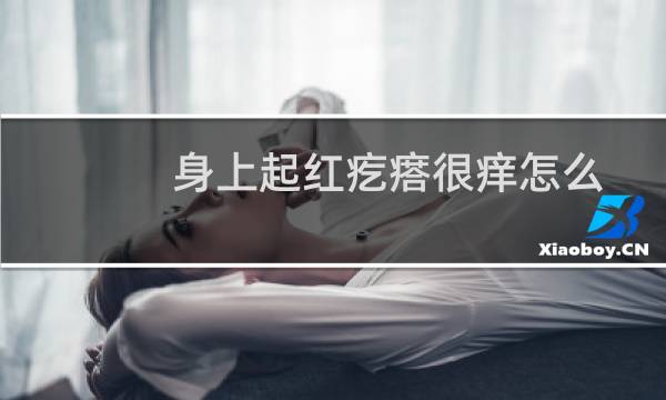 身上起红疙瘩很痒怎么办快速止痒（身上起红疙瘩很痒怎么办）图片
