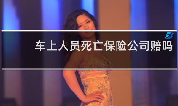 车上人员死亡保险公司赔吗